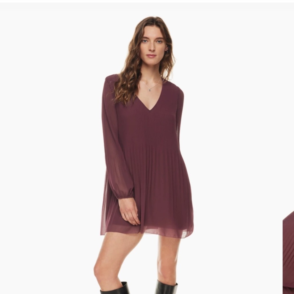 Aritzia Prophecy Dress